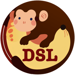 DSL logo
