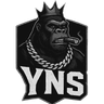 yNs logo