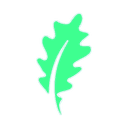 NOXA Gaming logo