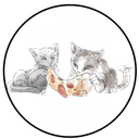 kakisu spele logo