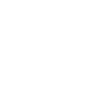 Team Elevate logo
