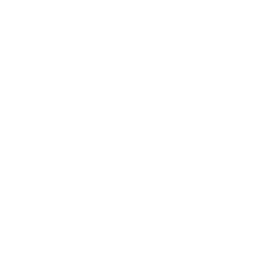 INWESKO ESPORTS logo
